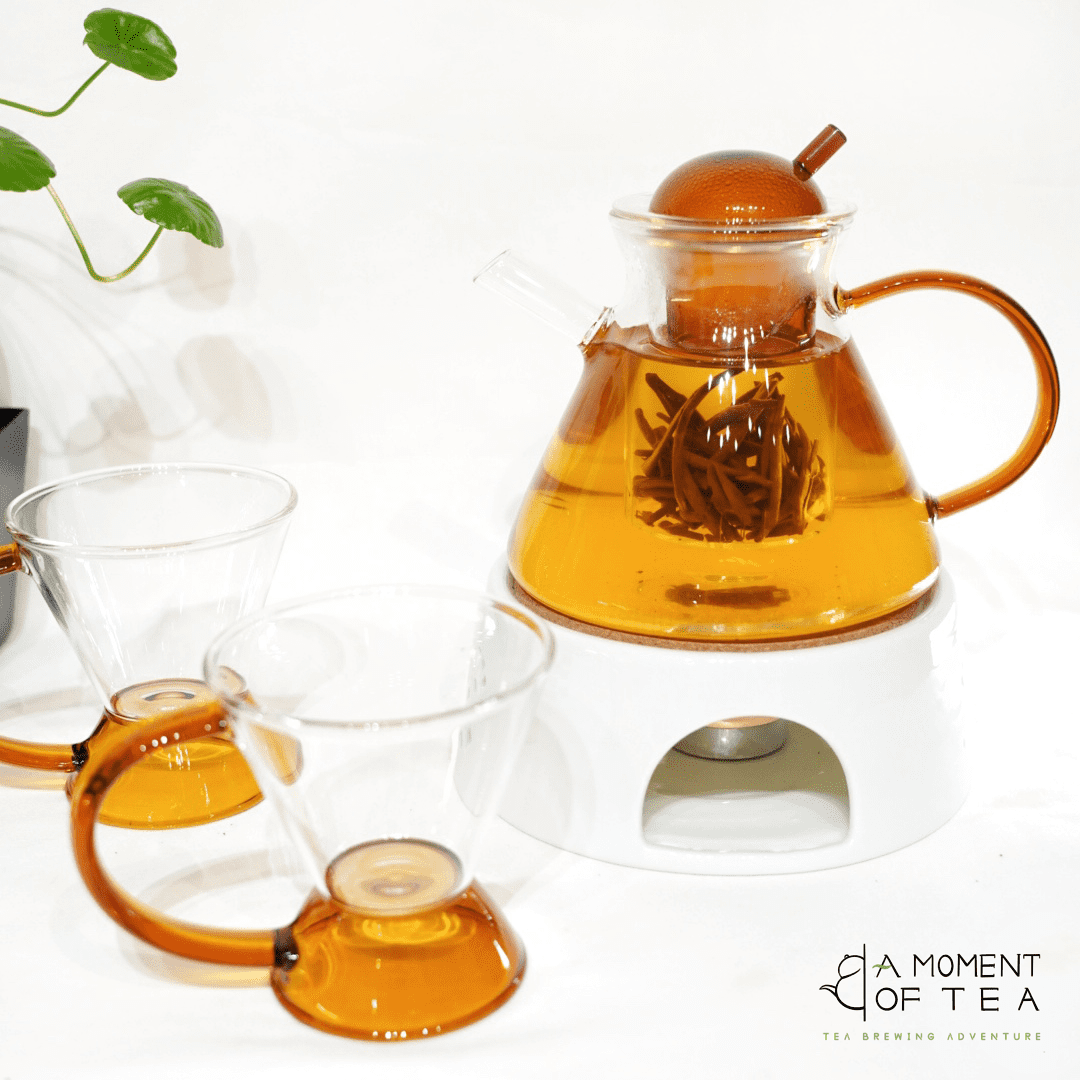 glass teapot with infuser