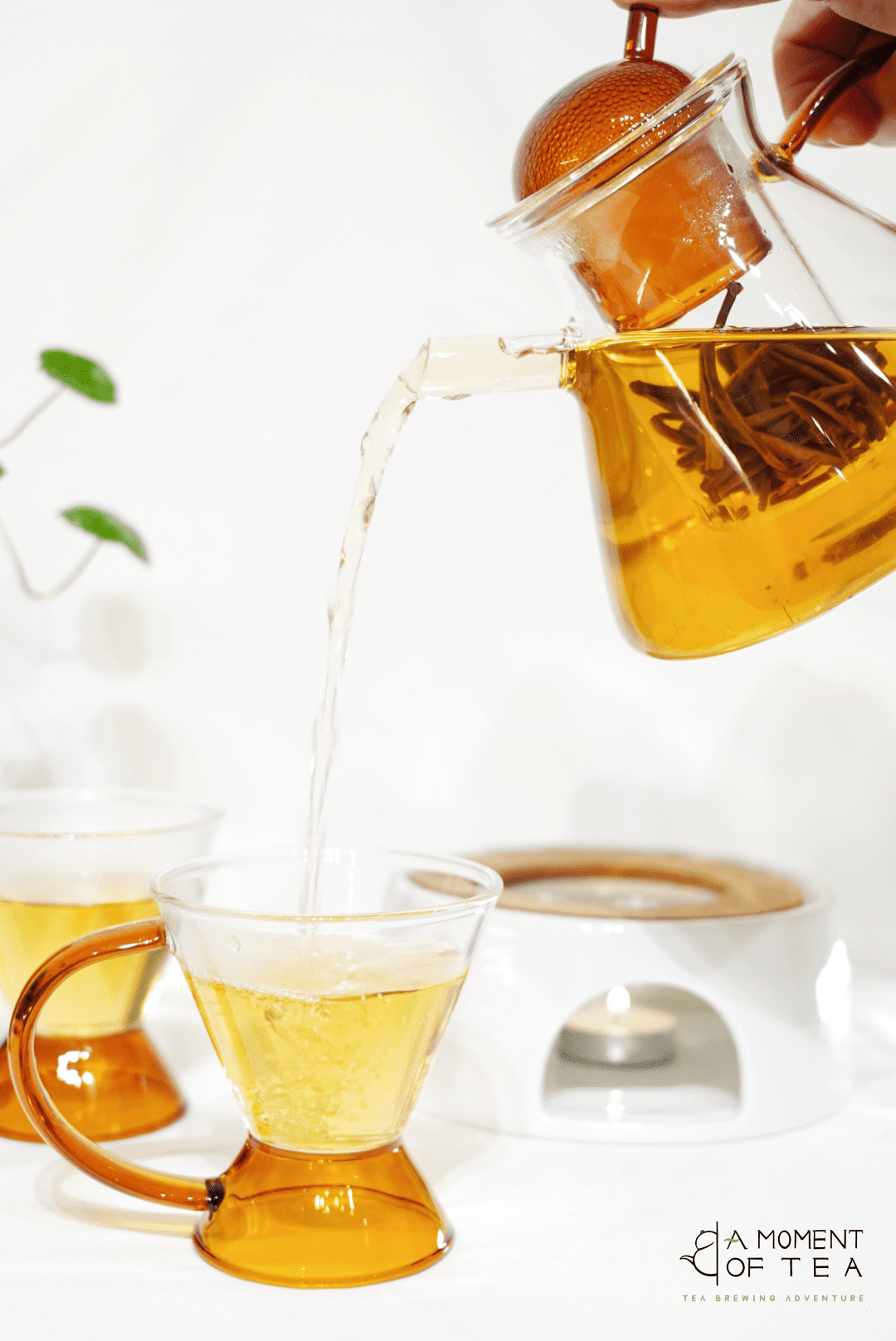 Glass teapot with glass infuser