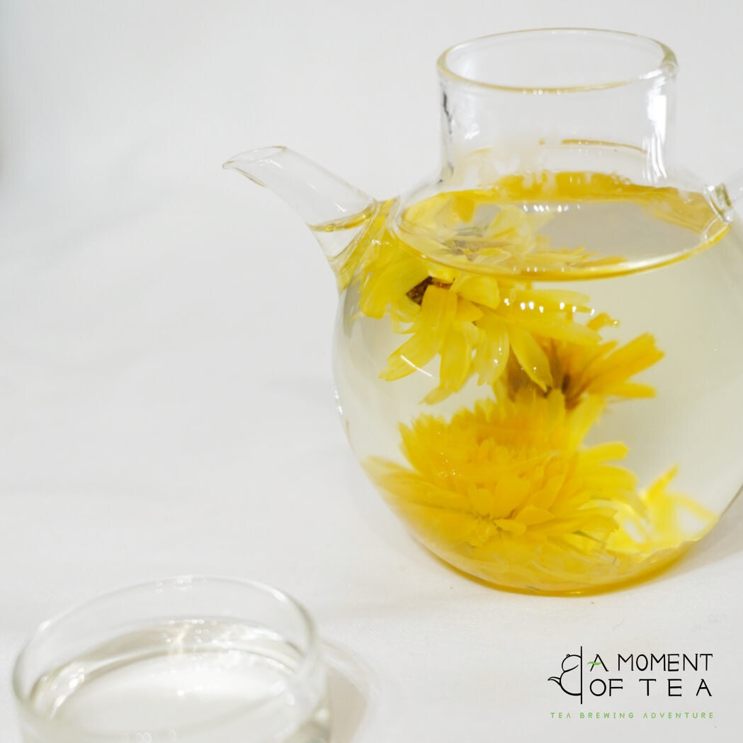 230ml-Glass Teapot with Cup Lid –A Perfect Teapot for One