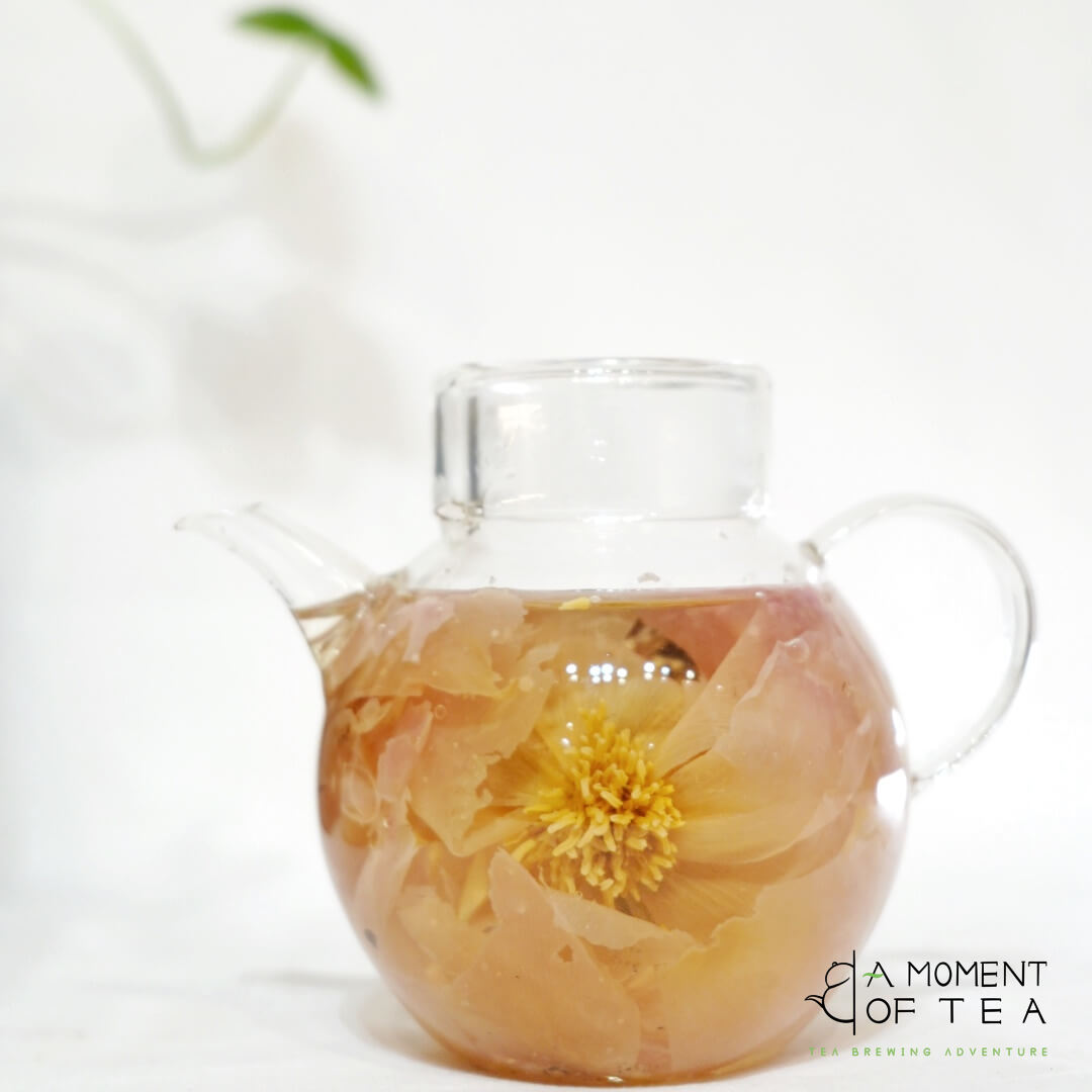 230ml-Glass Teapot with Cup Lid –A Perfect Teapot for One