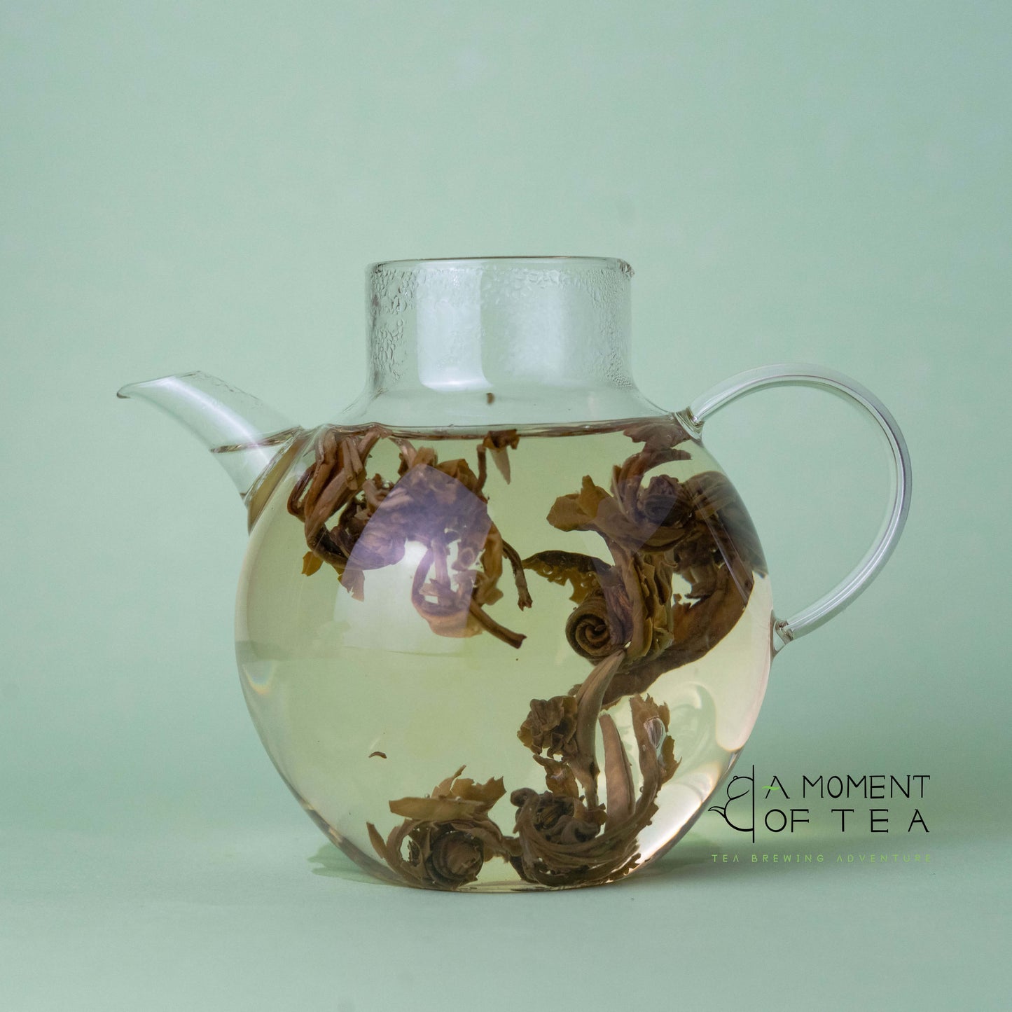 Glass teapot with Jasmine Dragon Pearls green tea leaves against a green background