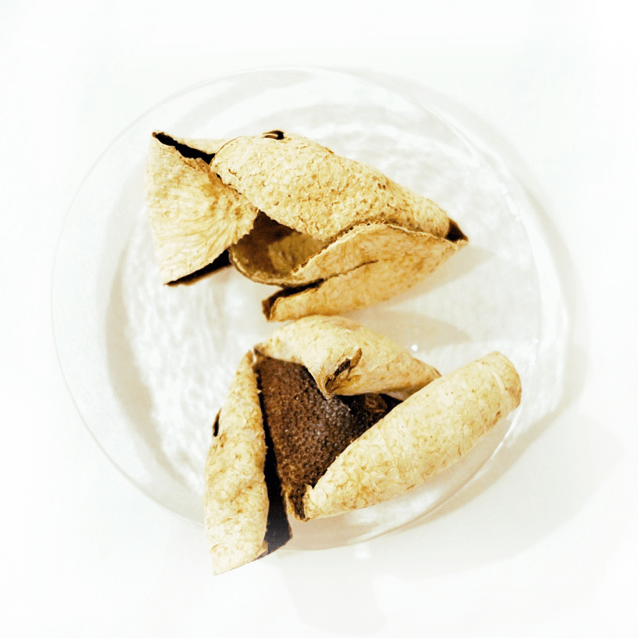 Aged Mandarin Peel 2016/Chen Pi/ Dried Tangerine Peels - A Moment of Tea