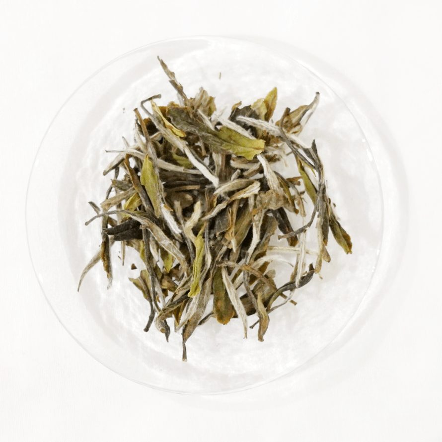 Premium White Peony 2018 - A Moment of Tea
