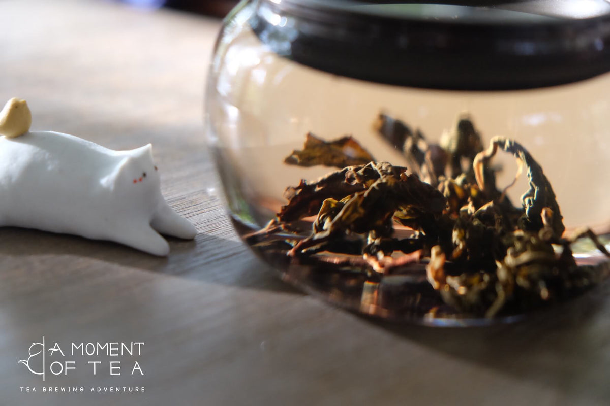 Does Tea Have Caffeine? Levels by Type + Caffeine-Free Teas – A Moment ...