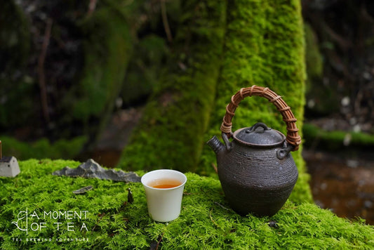 Experience Authentic Chinese Tea - A Journey of Mindfulness and Tradition
