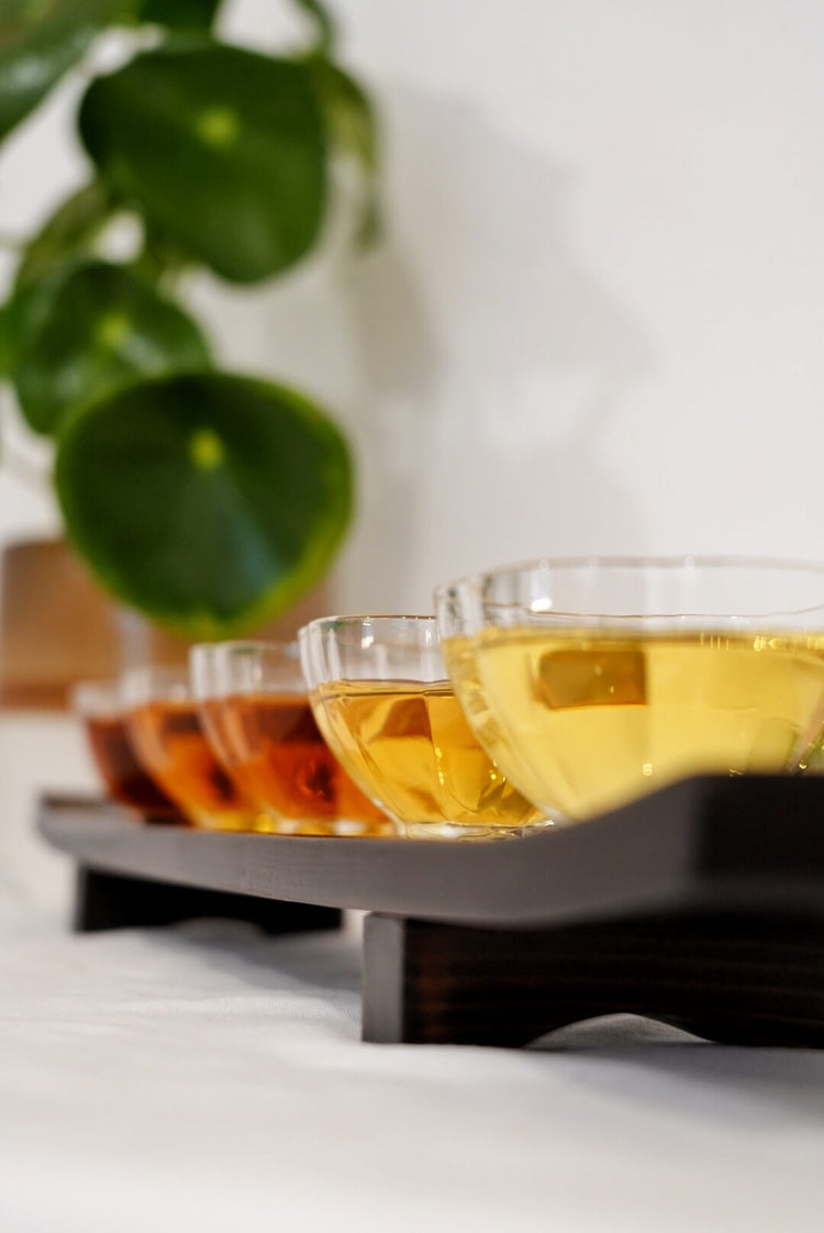 Oolong Tea Collection