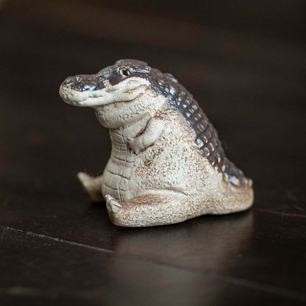 Side view of the Little Crocodile tea pet showing dark scales along the back
