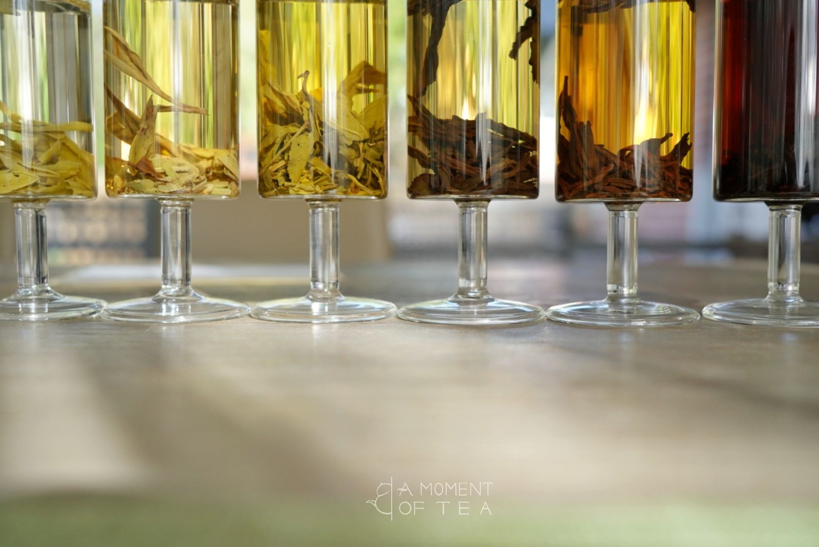 Chinese tea types displayed in glass tubes