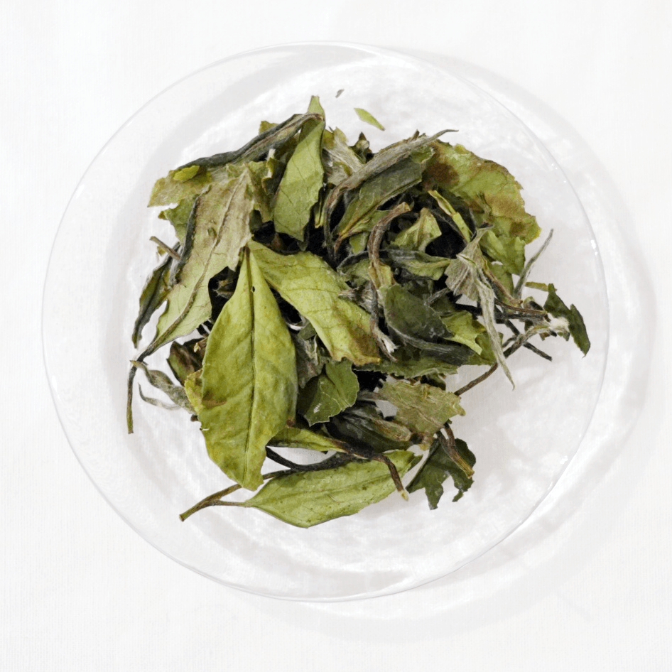 Gong Mei White Tea 2020 - A Moment of Tea