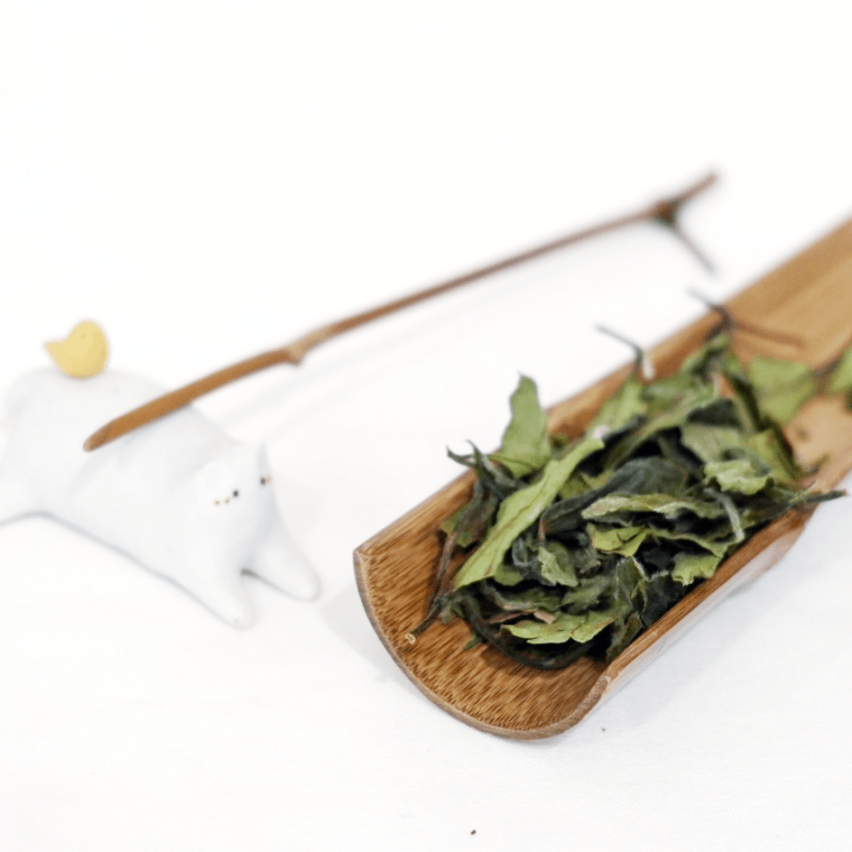 Gong Mei White Tea 2020 - A Moment of Tea